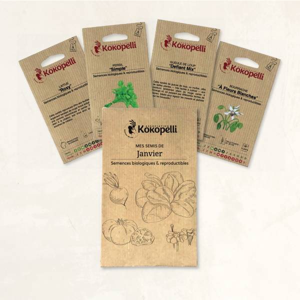 Mes semis de janvier - 4 sachets de graines bio à semer- Association Kokopelli - Imagen 2