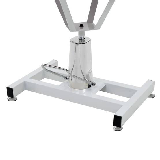 Vidaxl - Table Toilettage Ajustable Hydraulique pour Chiens avec Pivot vidaXL 170171 - Imagen 5