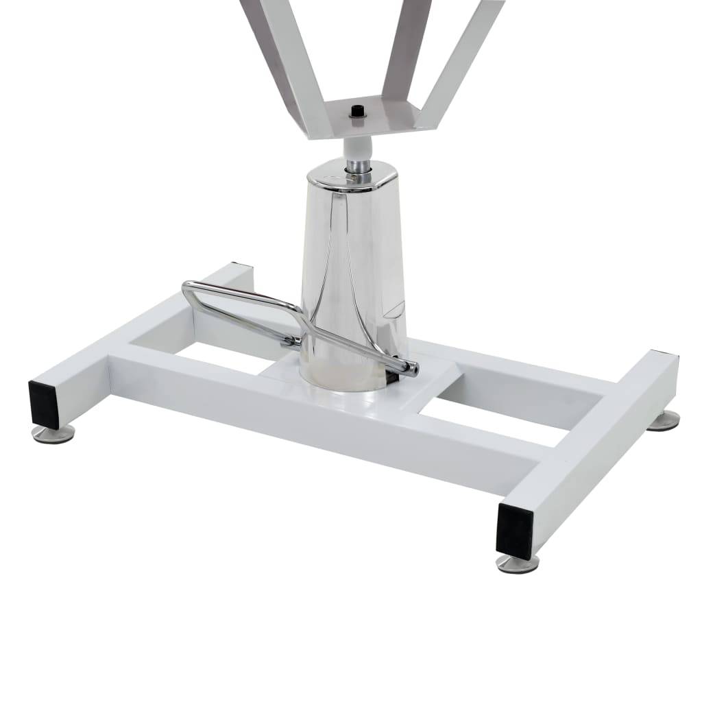 Vidaxl - Table Toilettage Ajustable Hydraulique pour Chiens avec Pivot vidaXL 170171 - Imagen 5