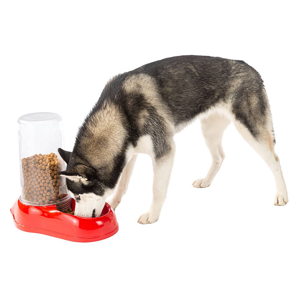 Ferplast - Ferplast Distributeur de nourriture ou d'eau pour chiens et chats AZIMUT 5500, Distributeur de nourriture sèche et eau de 5,5 litre, fond - Imagen 5