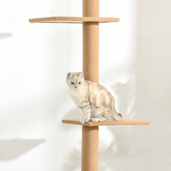 Arbre à chat réglable en hauteur, bois, marron, 43 x 27 x 228-260 cm - PANGIVO - Image 8