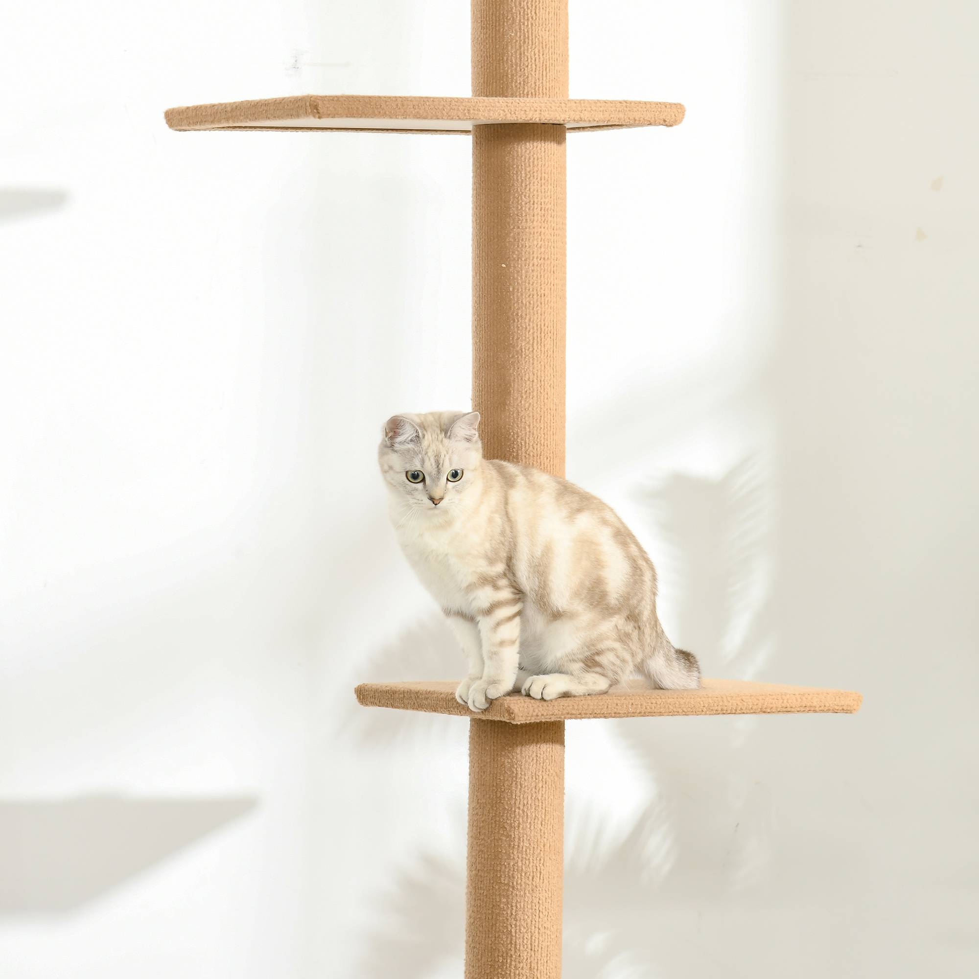 Arbre à chat réglable en hauteur, bois, marron, 43 x 27 x 228-260 cm - PANGIVO - Image 8