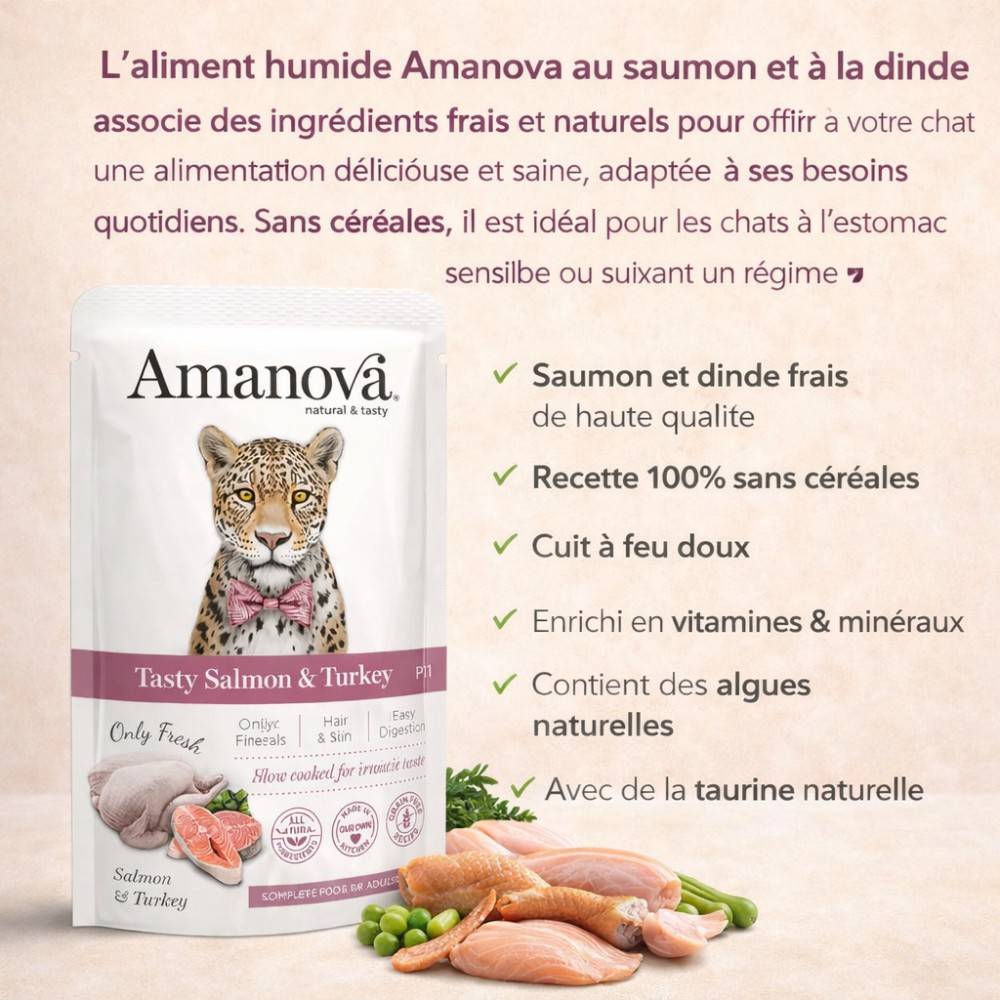 Pâtée Chat Sans Céréales Saumon & Dinde Amanova 85g 85 g - Image 2