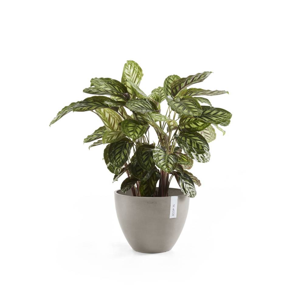 Ecopots - Pot Rond Antwerp 50 New Taupe - Ø 50 x H. 37,5 cm - 52 L ECOPOTS - Imagen 2