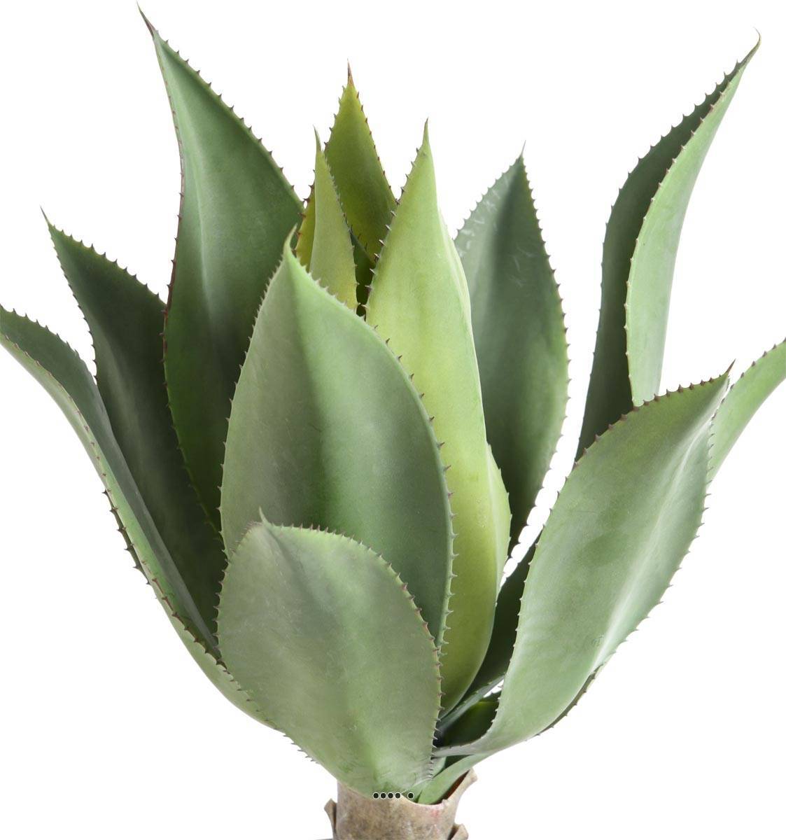 Artificielles - Agave, Aloé vera, artificielle en piquet H 60 cm Vert - dimhaut: H 60 cm - couleur: Vert - Imagen 2
