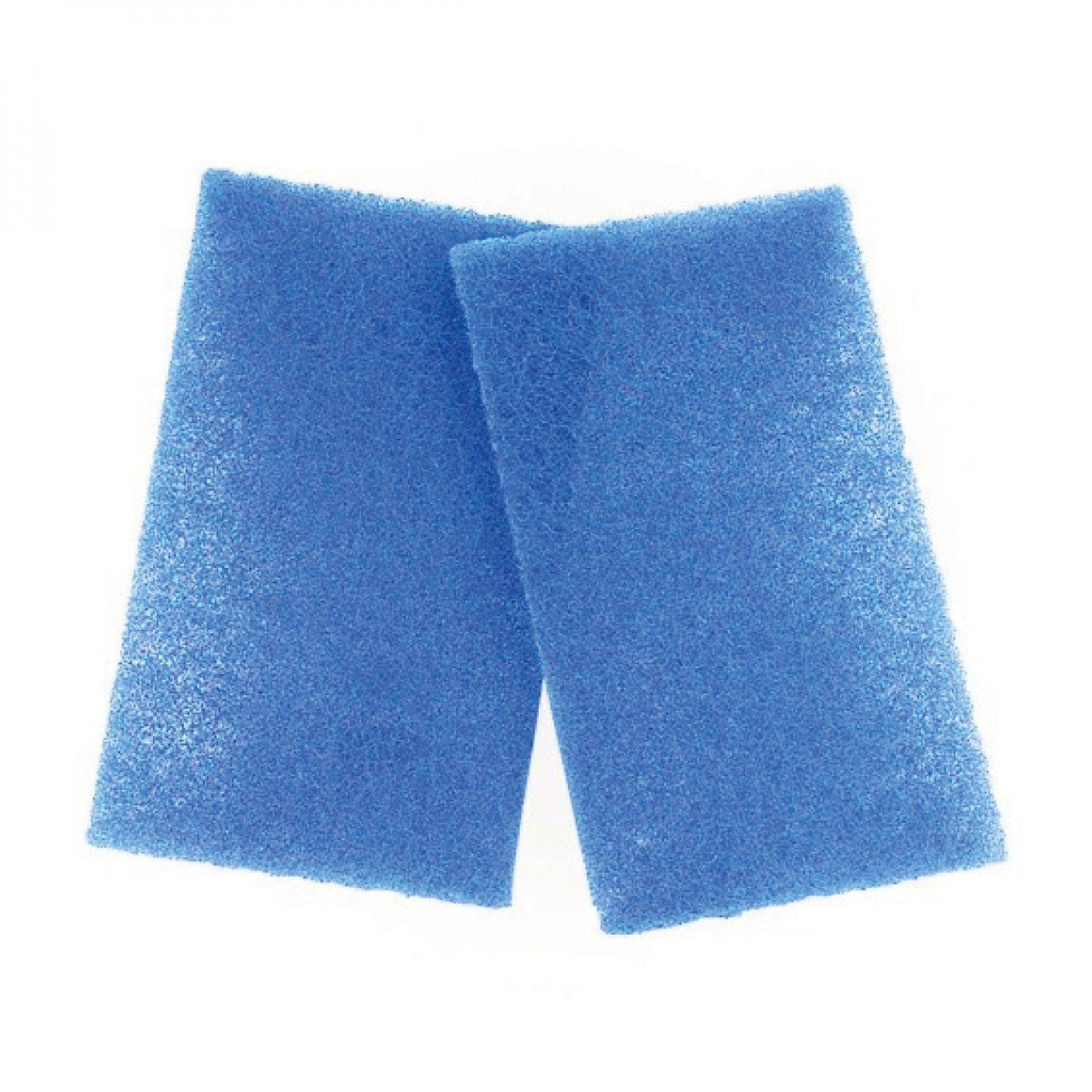 Hayward - Pack de 2 filtres pour robot nettoyage de printemps - Bleu - RCX70103PAK2 - Hayward