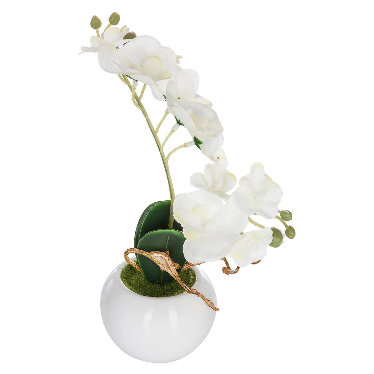 Atmosphera - Orchidée artificielle pot céramique H25cm - Atmosphera Créateur d'intérieur - Imagen 1