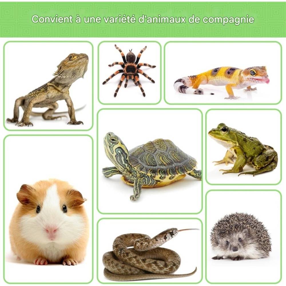 Distributeur De Nourriture Pour Tortues Terrestres - Lytech - Jardiland