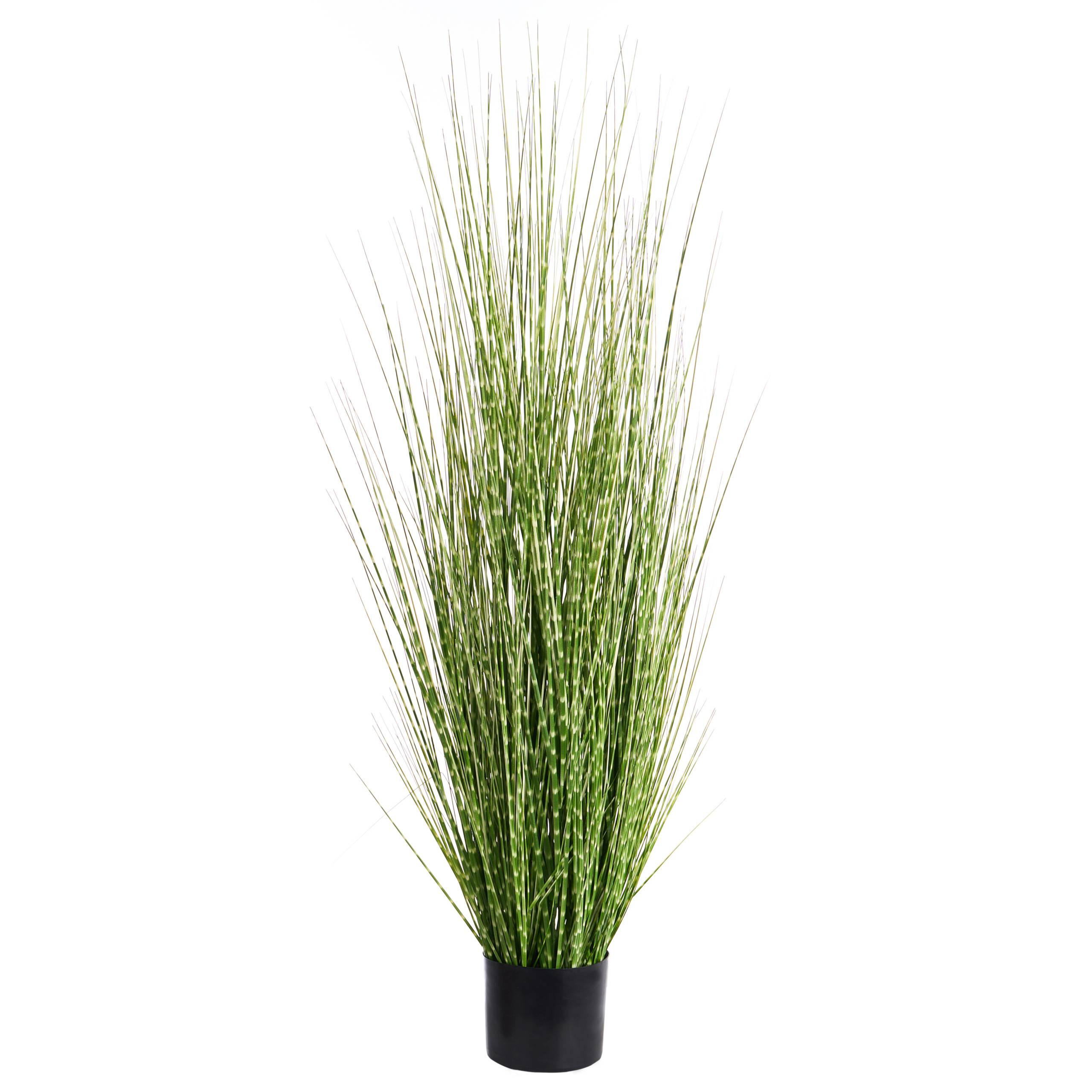 Beliani - Plante artificielle Matière synthétique Vert ZEBRA GRASS - 40x40x120- Beliani - Image 1