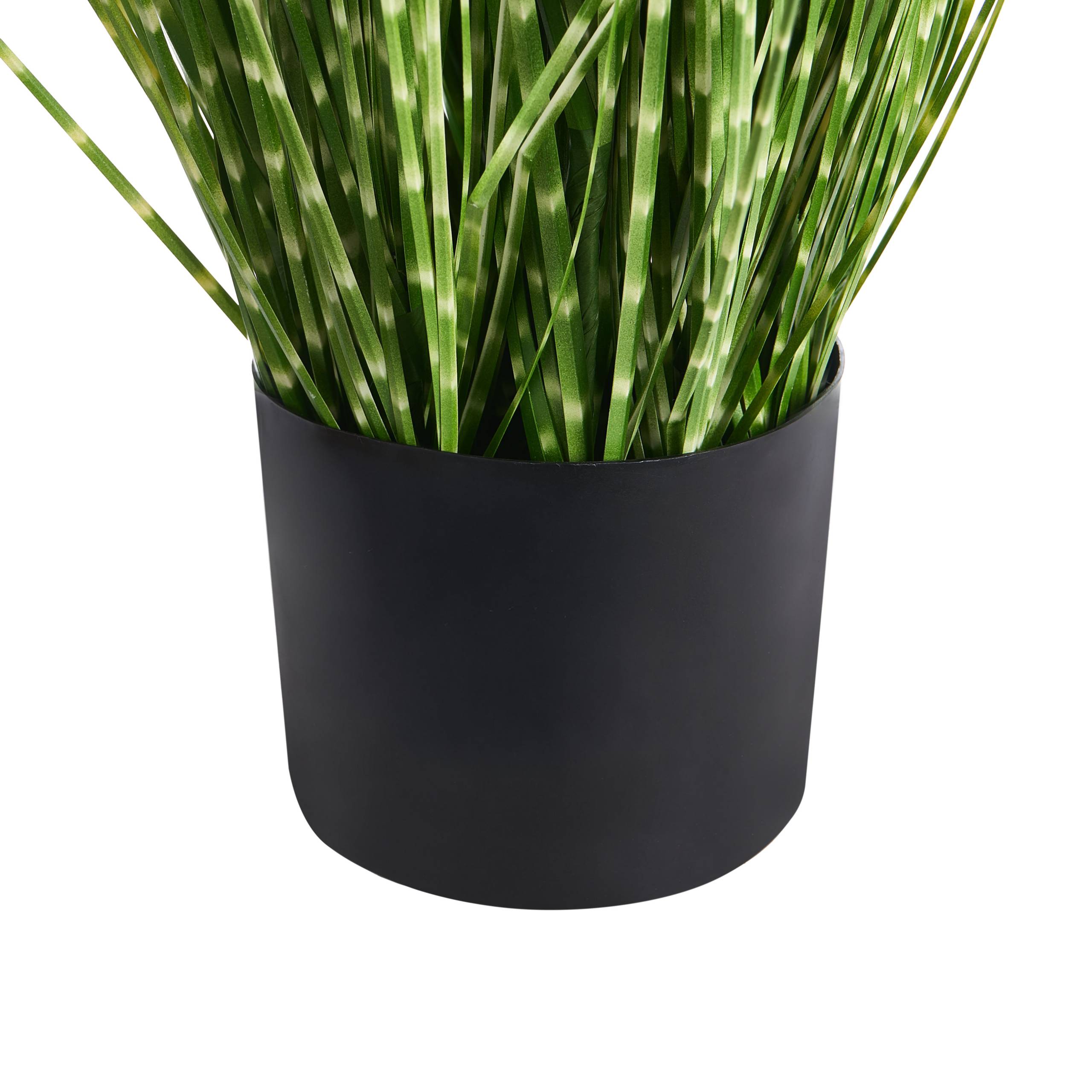 Beliani - Plante artificielle Matière synthétique Vert ZEBRA GRASS - 40x40x120- Beliani - Image 4