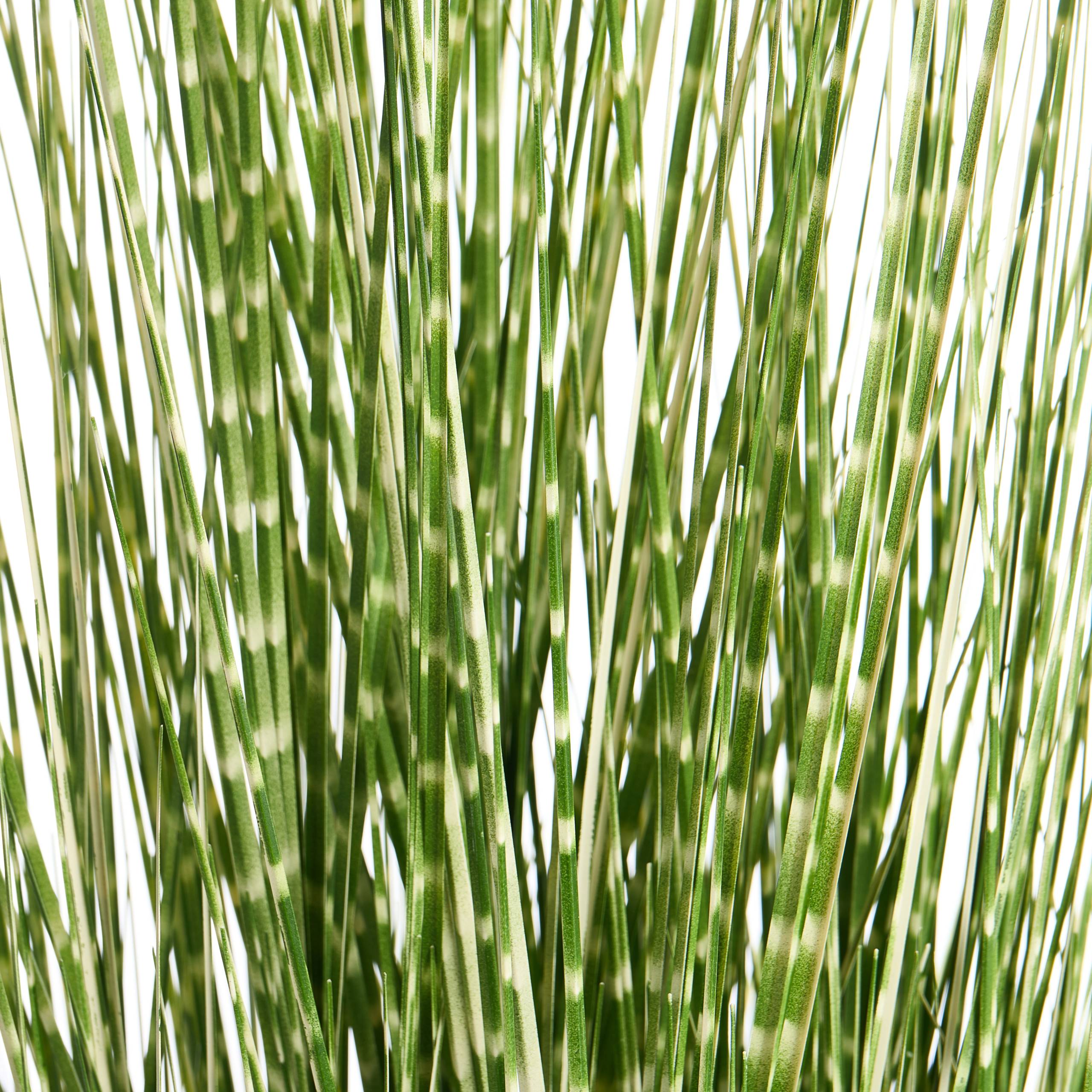 Beliani - Plante artificielle Matière synthétique Vert ZEBRA GRASS - 40x40x120- Beliani - Image 3