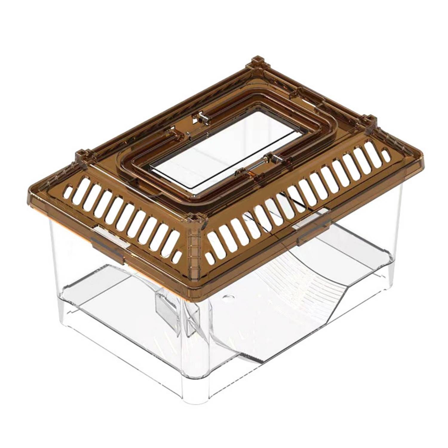 DtopbuyAge - Aquarium Transparent pour Tortue avec Plateforme et Couvercle DtopbuyAge