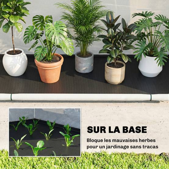 Serre de jardin pliable en PE et fibre de verre vert 200 x 80 x 164 cm - PANGIVO - Image 8