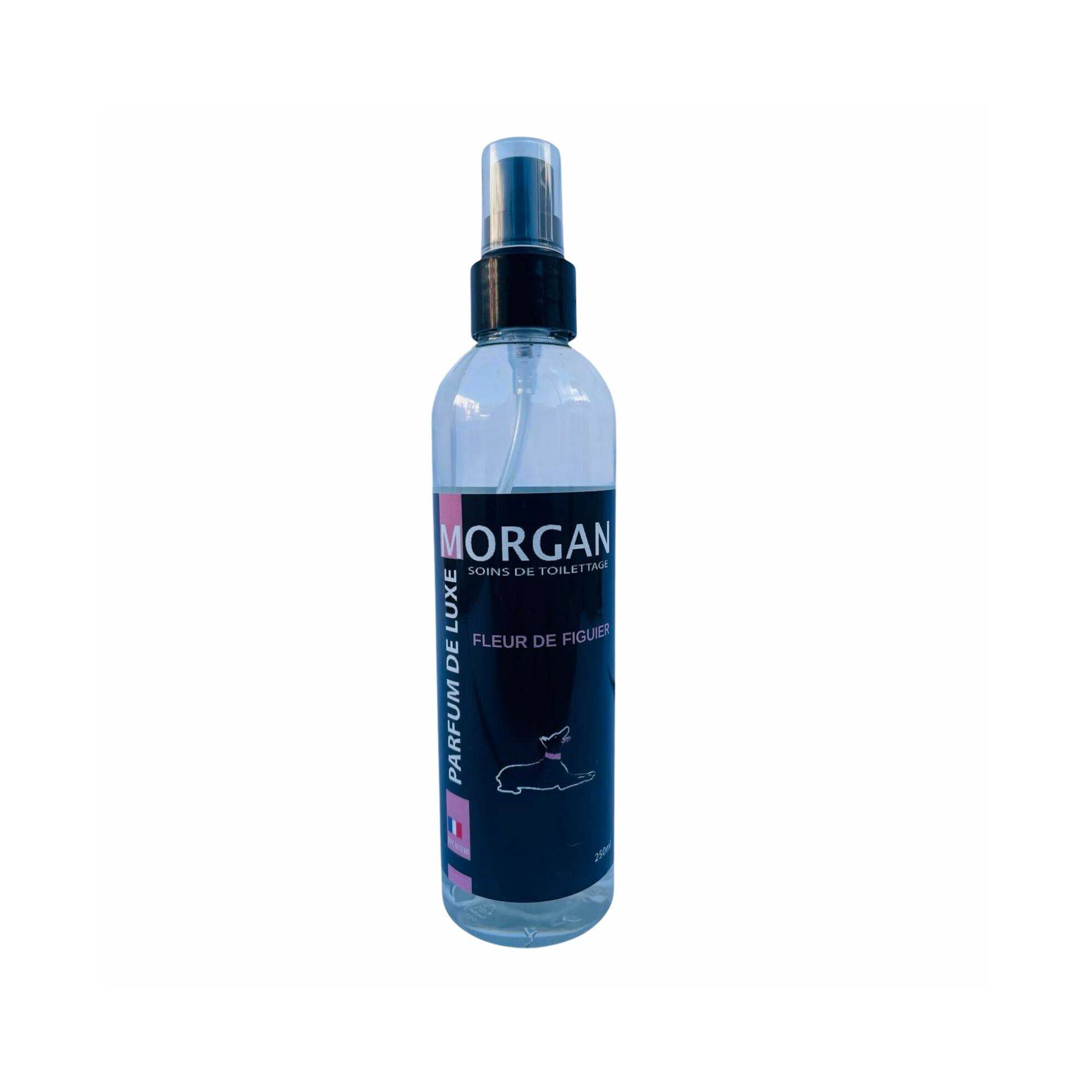 Parfum de luxe Bois d'orange - 250 ml MORGAN