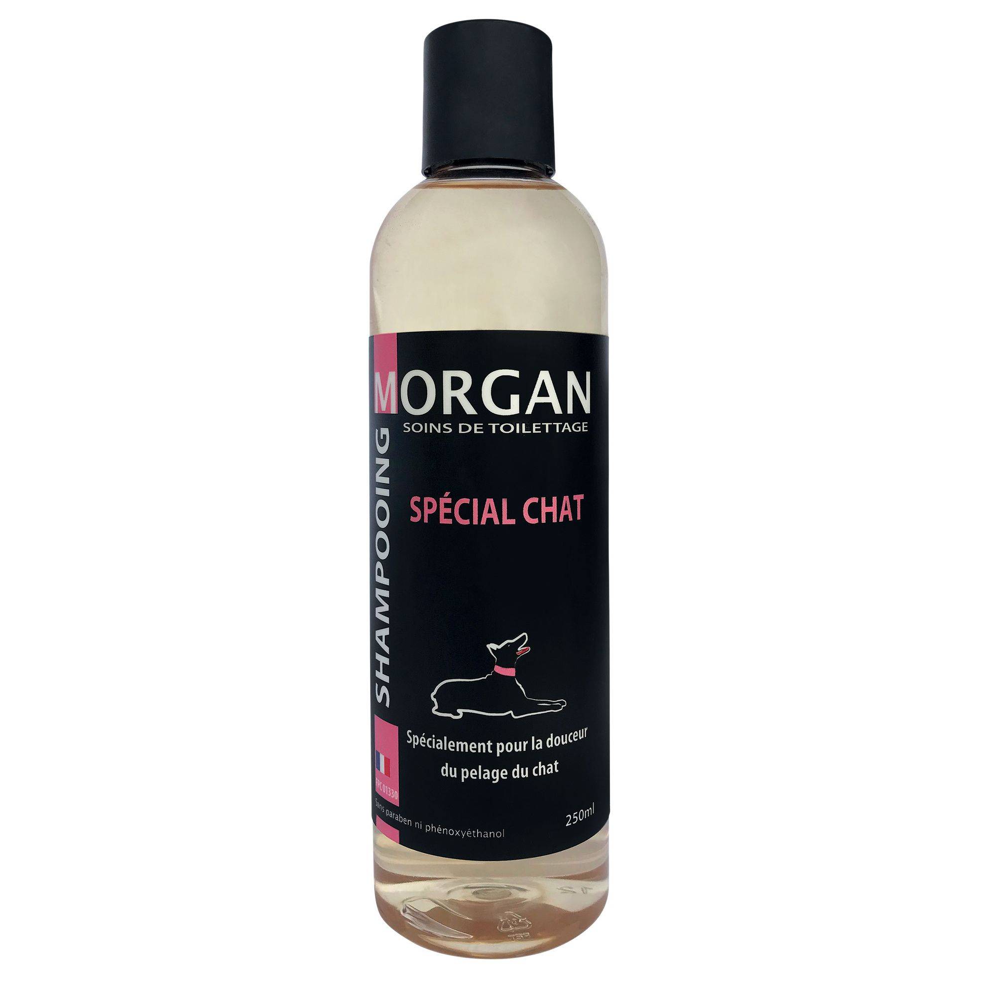 Shampooing spécial chat : 250ml MORGAN