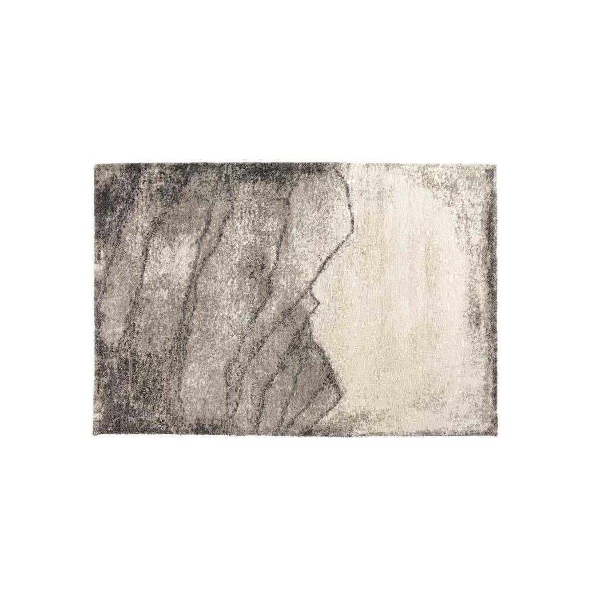 Vivaraise - Tapis intérieur en polypropylène Pio 200 x 290 cm - Imagen 1