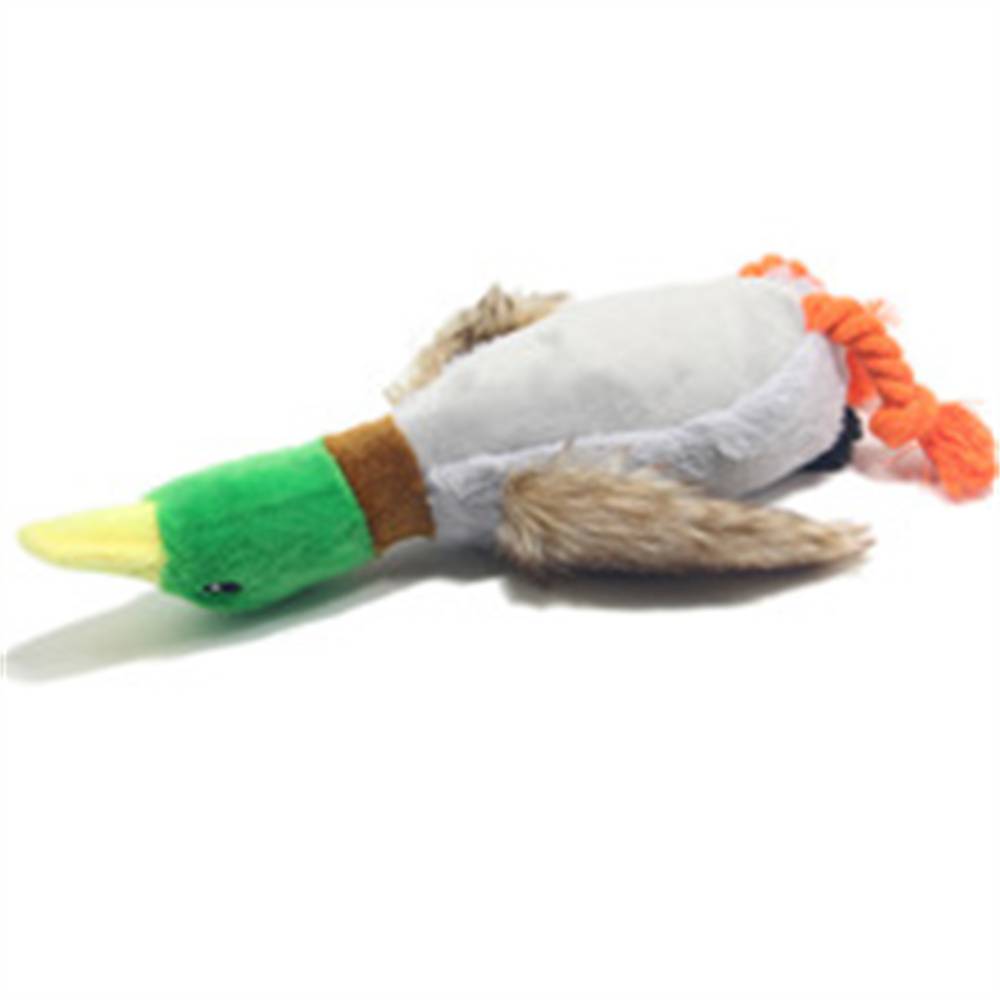 DtopbuyAge - Jouet en peluche de canard pour chien DtopbuyAge - Image 2