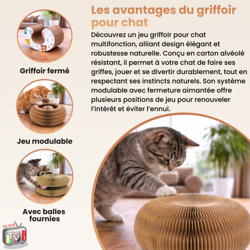 Jouet Chat | Jouet Pour Chat | Griffoir Pour Chat | Carton Ondulé Interactif Conçu Pour Griffades Naturelles - VENTEO - Image 3