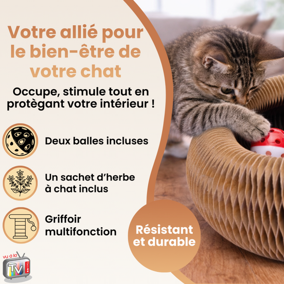 Jouet Chat | Jouet Pour Chat | Griffoir Pour Chat | Carton Ondulé Interactif Conçu Pour Griffades Naturelles - VENTEO - Image 5