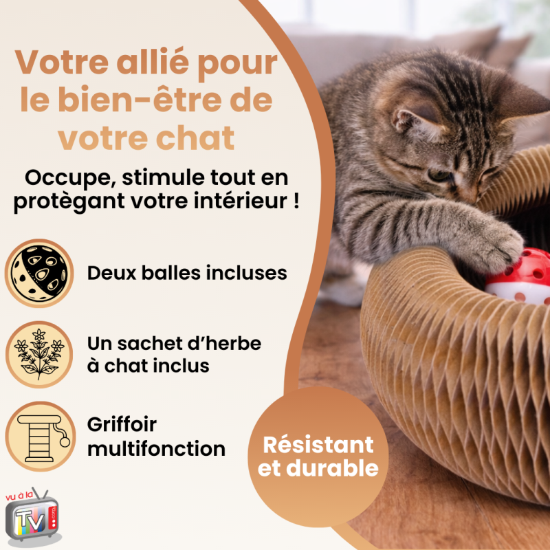 Jouet Chat | Jouet Pour Chat | Griffoir Pour Chat | Carton Ondulé Interactif Conçu Pour Griffades Naturelles - VENTEO - Image 5