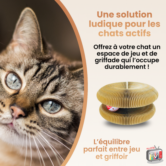 Jouet Chat | Jouet Pour Chat | Griffoir Pour Chat | Carton Ondulé Interactif Conçu Pour Griffades Naturelles - VENTEO - Image 6