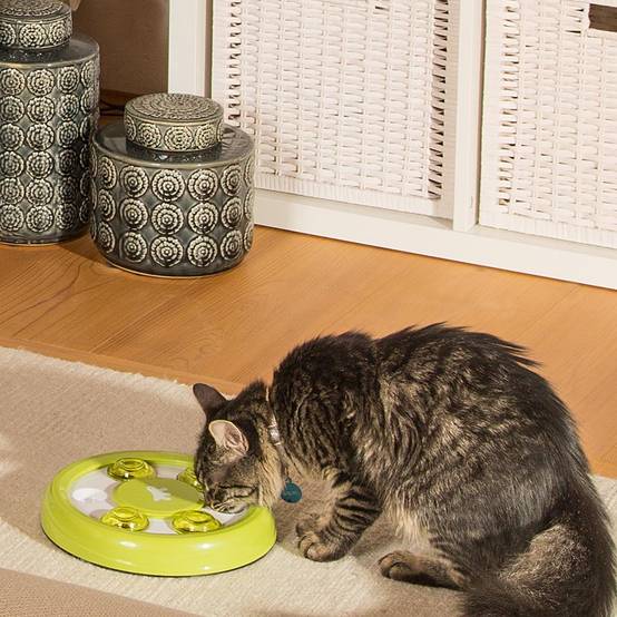 Ferplast - Jouet chat chats amusant interactif Ferplast Discover sans danger passe-temps - Image 4