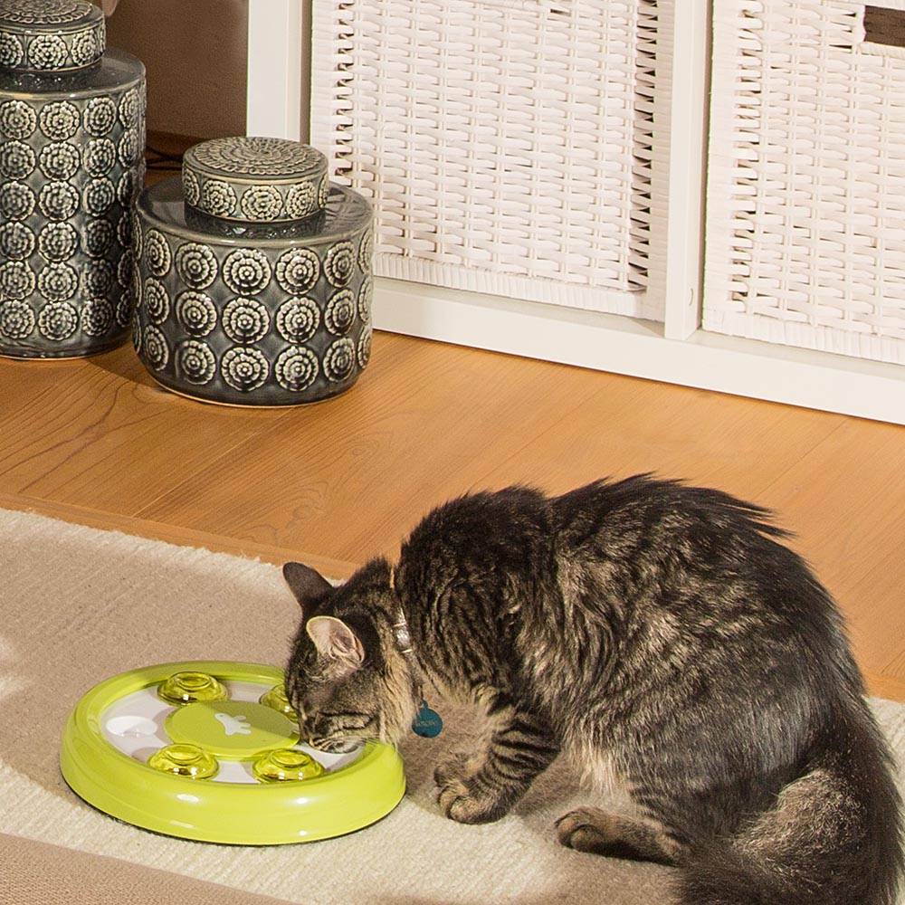 Ferplast - Jouet chat chats amusant interactif Ferplast Discover sans danger passe-temps - Image 4