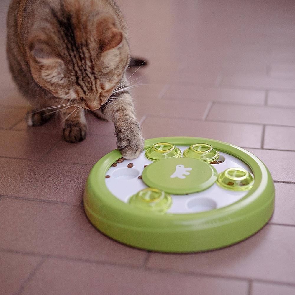 Ferplast - Jouet chat chats amusant interactif Ferplast Discover sans danger passe-temps - Image 3