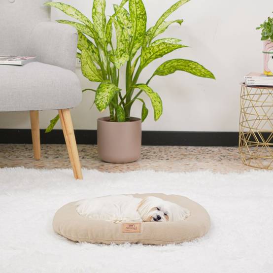 Ferplast - Ferplast Coussin Chien, Tapis Chien RELAX 45/2 MICROFLEECE, Coussin Chat, Lit pour Chiens Chats, Matelas Animaux, Coussin pour Panier Chien et Chat, - Image 4