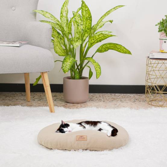 Ferplast - Ferplast Coussin Chien, Tapis Chien RELAX 45/2 MICROFLEECE, Coussin Chat, Lit pour Chiens Chats, Matelas Animaux, Coussin pour Panier Chien et Chat, - Image 3