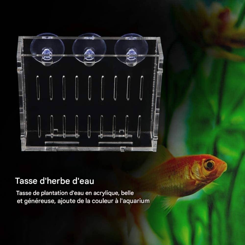 Réservoir de Poissons pour Aquarium DtopbuyAge - Image 2