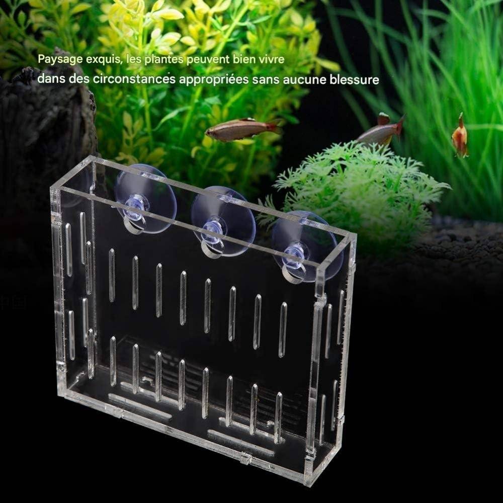Réservoir de Poissons pour Aquarium DtopbuyAge - Image 3