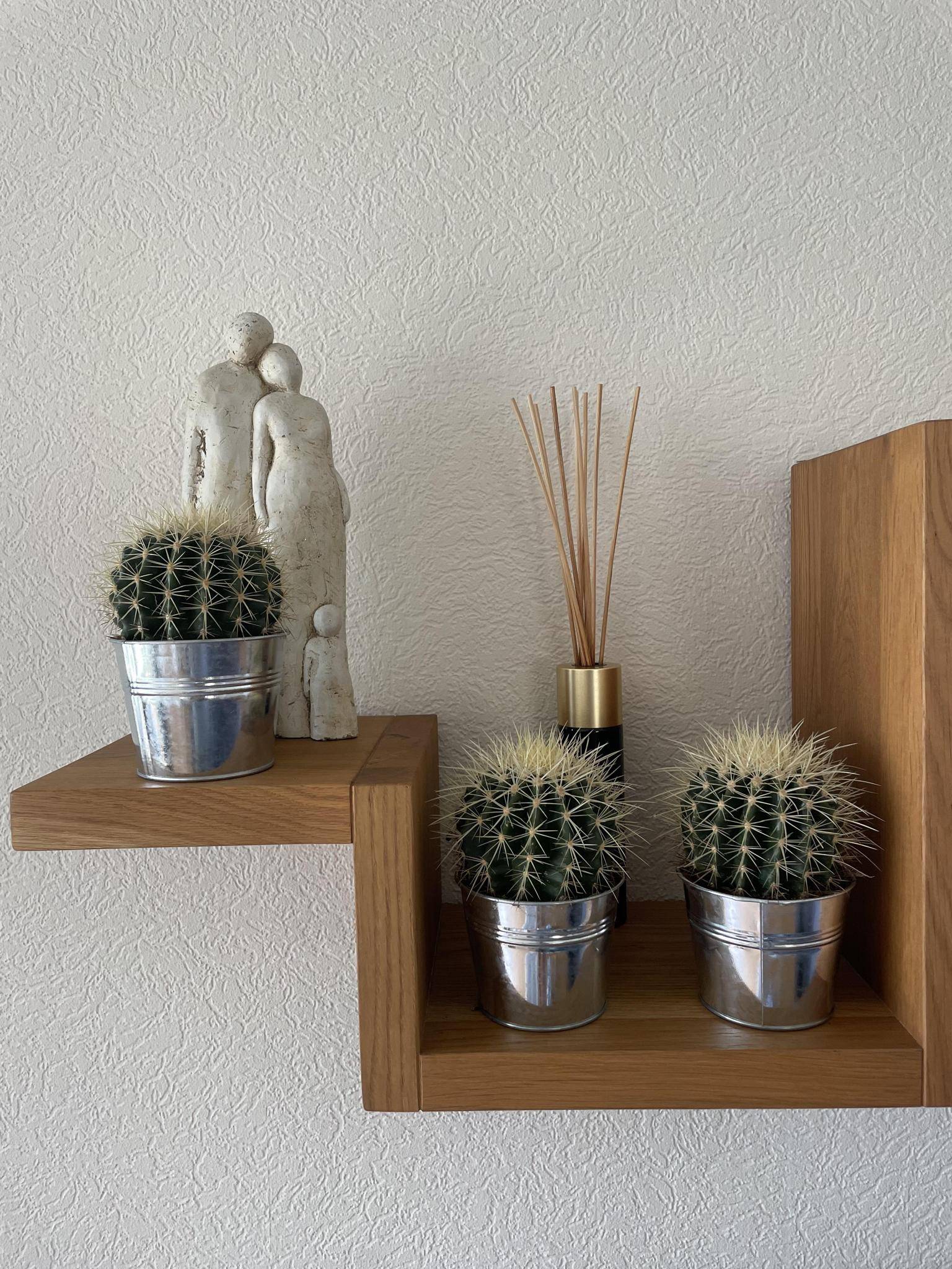 La Green Touch - Trio de Cactus Echinocactus Grusonii en Pot de Zinc- La Green Touch - Image 3