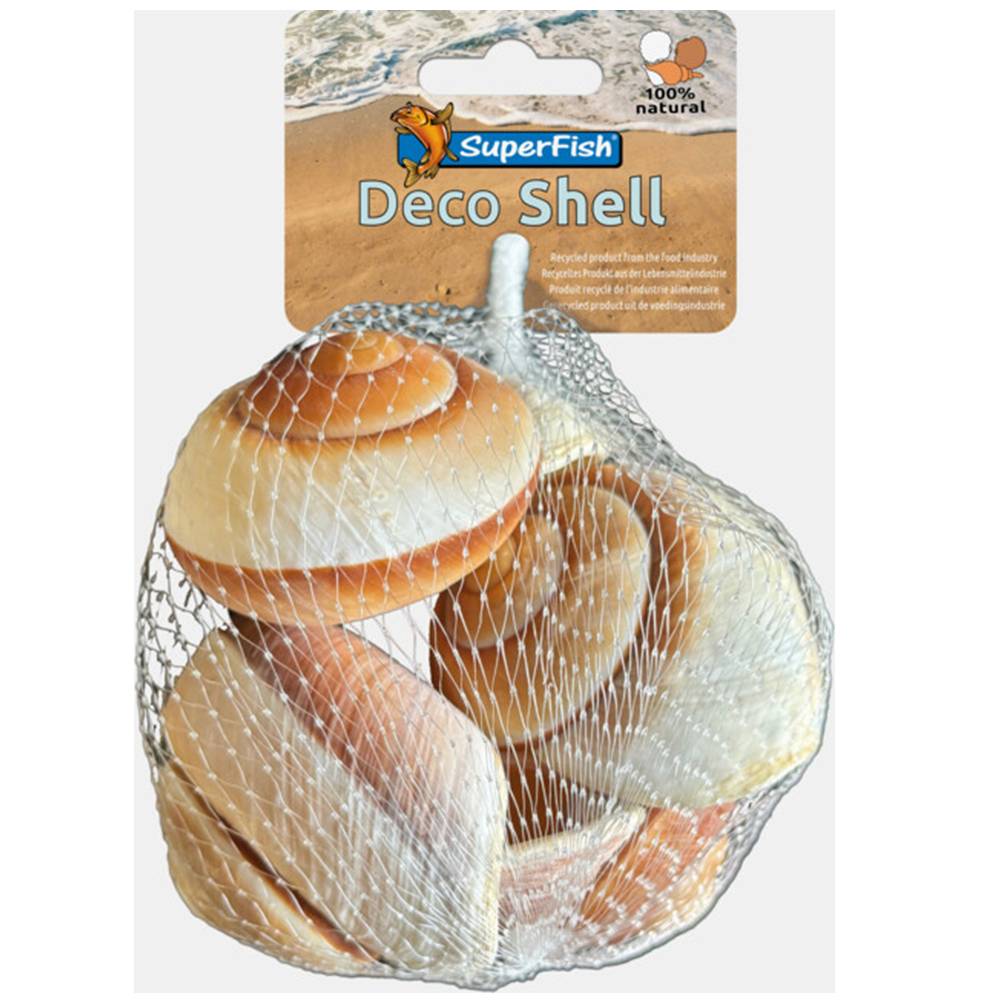 Superfish - Coquille Spirale Rayée décoration aquarium 200 g - SUPERFISH
