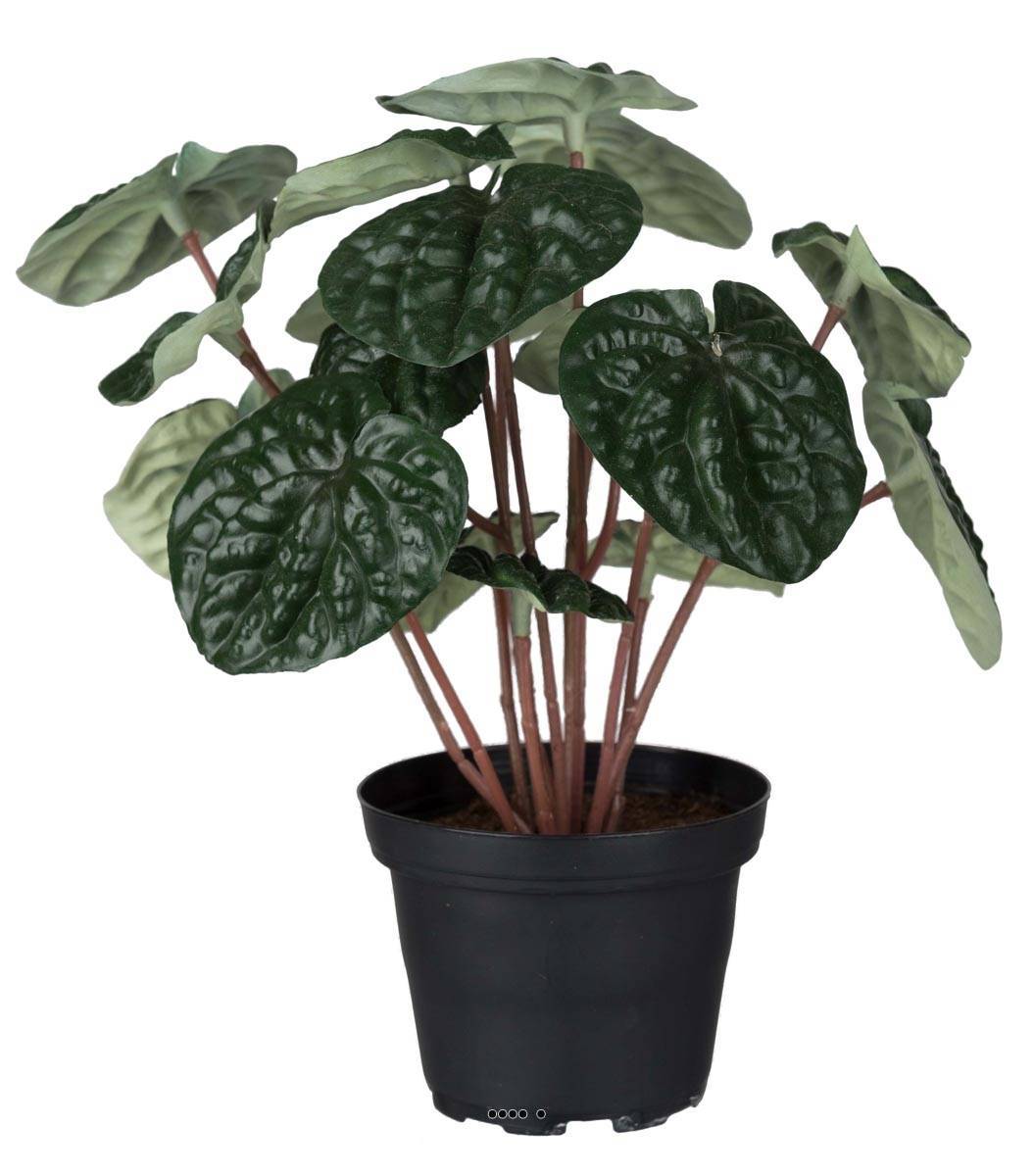 Artificielles - Peperomia plante factice en pot lesté H20cm D20cm dense & qualité Vert - couleur: Vert - Imagen 2