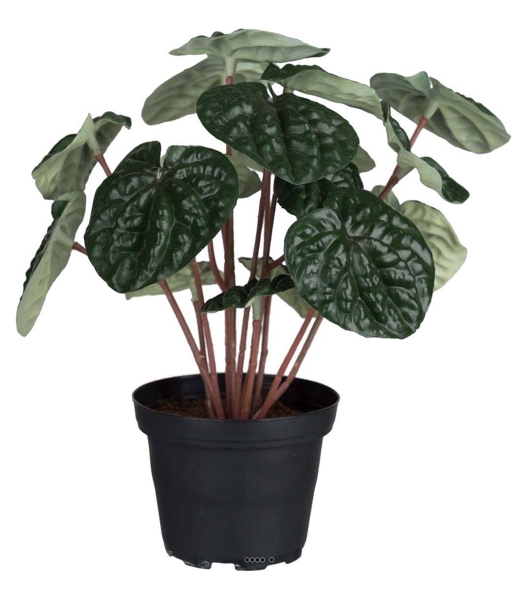 Artificielles - Peperomia plante factice en pot lesté H20cm D20cm dense & qualité Vert - couleur: Vert - Imagen 1
