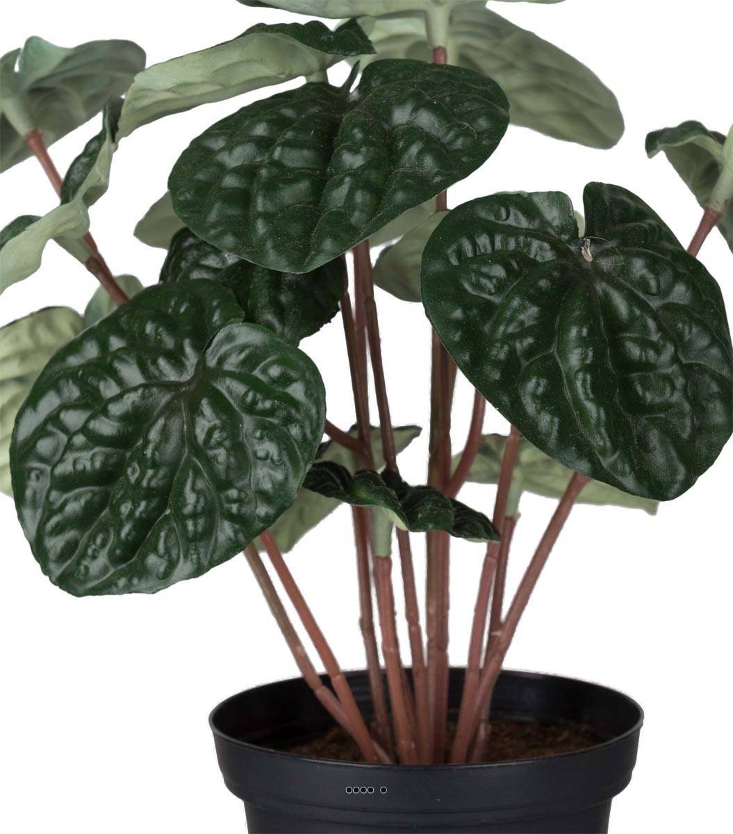Artificielles - Peperomia plante factice en pot lesté H20cm D20cm dense & qualité Vert - couleur: Vert - Imagen 3