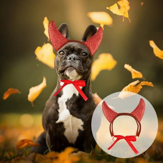 DtopbuyAge - Costume d'Halloween pour animal de compagnie DtopbuyAge - Image 4