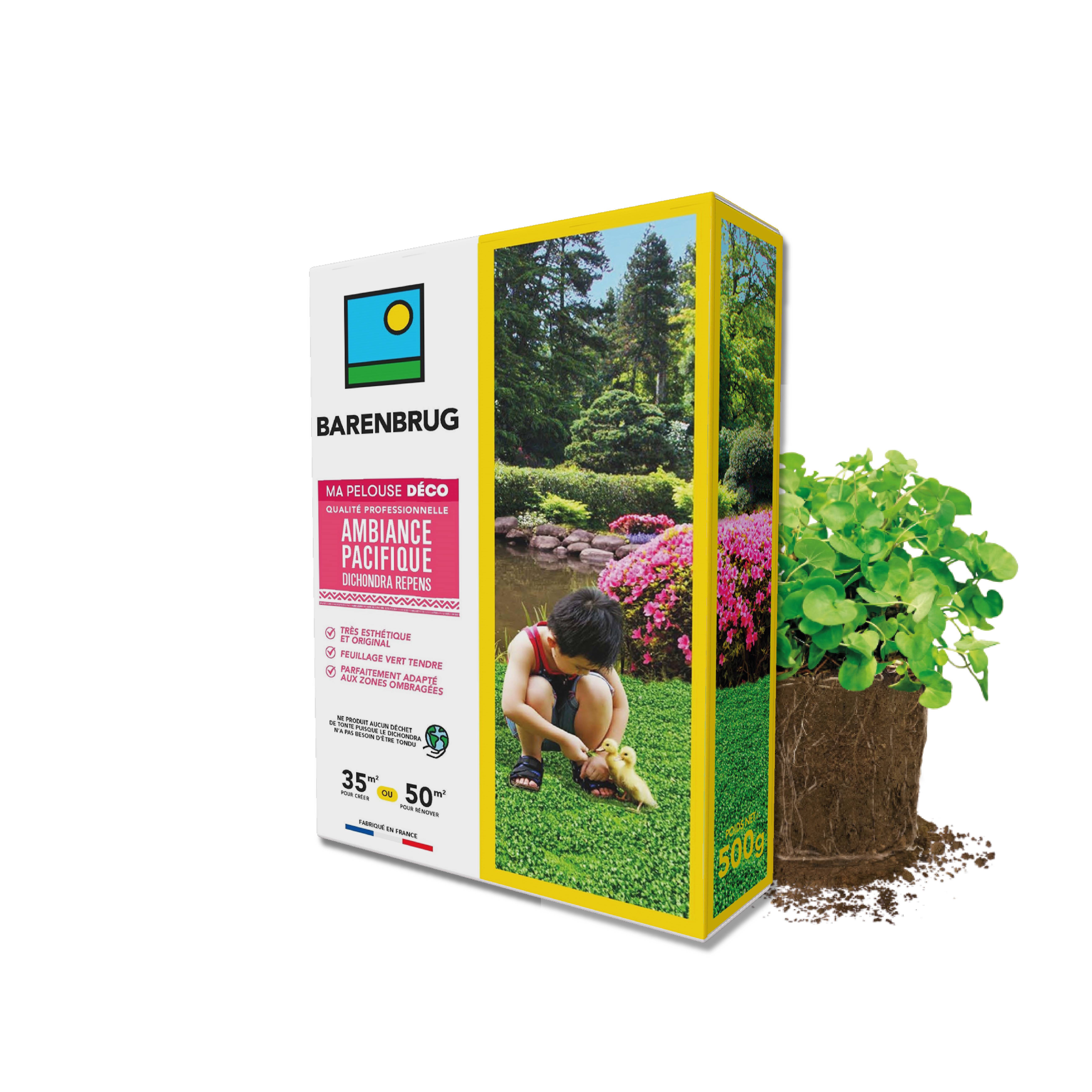 Barenbrug - Pelouse Ambiance Pacifique - Dichondra - Très Esthétique et Original - Feuillage Vert Tendre - Parfaitement Adapté Zones Ombragées - 500G - BARENBRUG