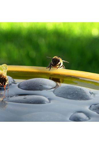 Esschert Design - Esschert Design - Bain pour abeilles ou papillons - Image 3