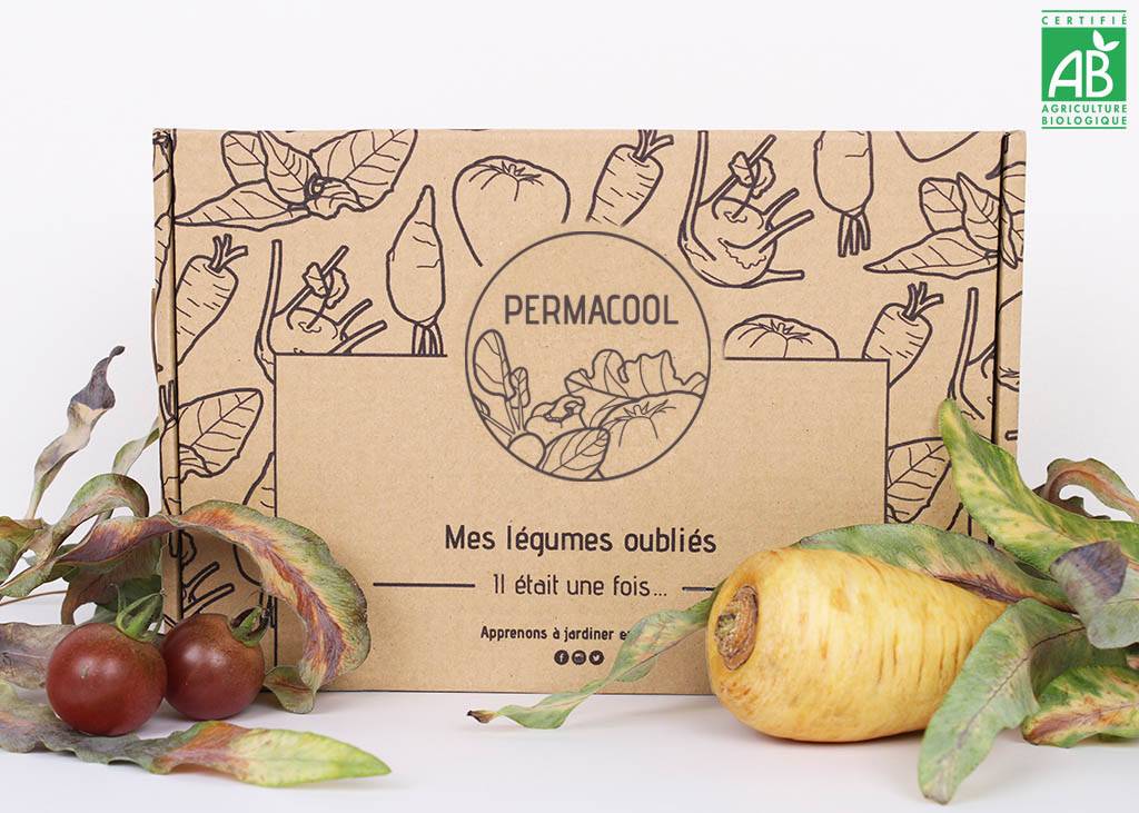 Kit de jardinage 'Mes légumes oubliés' : graines bio, guide et accessoires pour redécouvrir et cultiver des variétés anciennes et savoureuses ! - Image 1