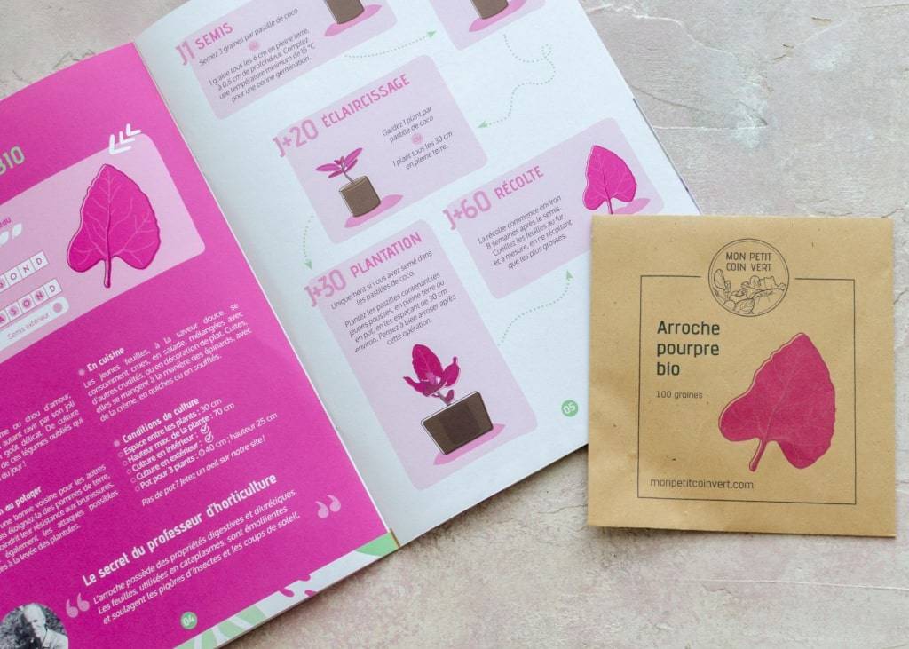 Kit de jardinage 'Mes légumes oubliés' : graines bio, guide et accessoires pour redécouvrir et cultiver des variétés anciennes et savoureuses ! - Image 2