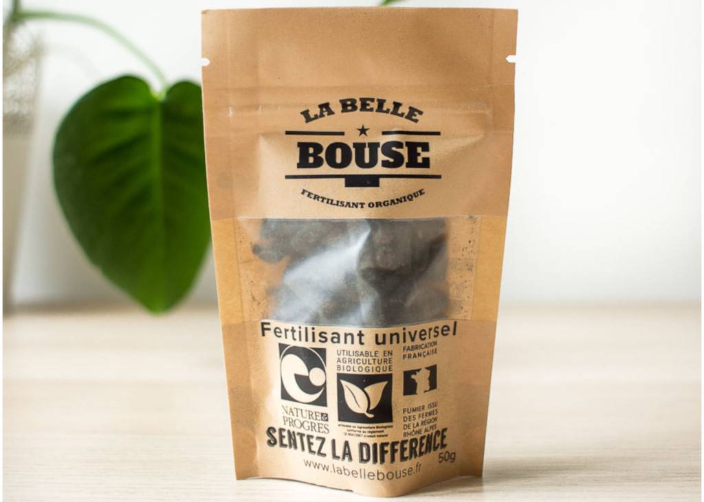Kit de jardinage 'Mes légumes oubliés' : graines bio, guide et accessoires pour redécouvrir et cultiver des variétés anciennes et savoureuses ! - Image 3