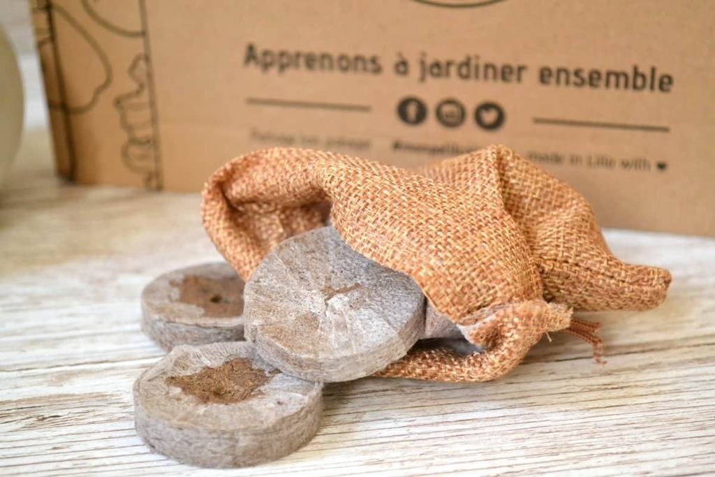 Kit de jardinage 'Mes légumes oubliés' : graines bio, guide et accessoires pour redécouvrir et cultiver des variétés anciennes et savoureuses ! - Image 4