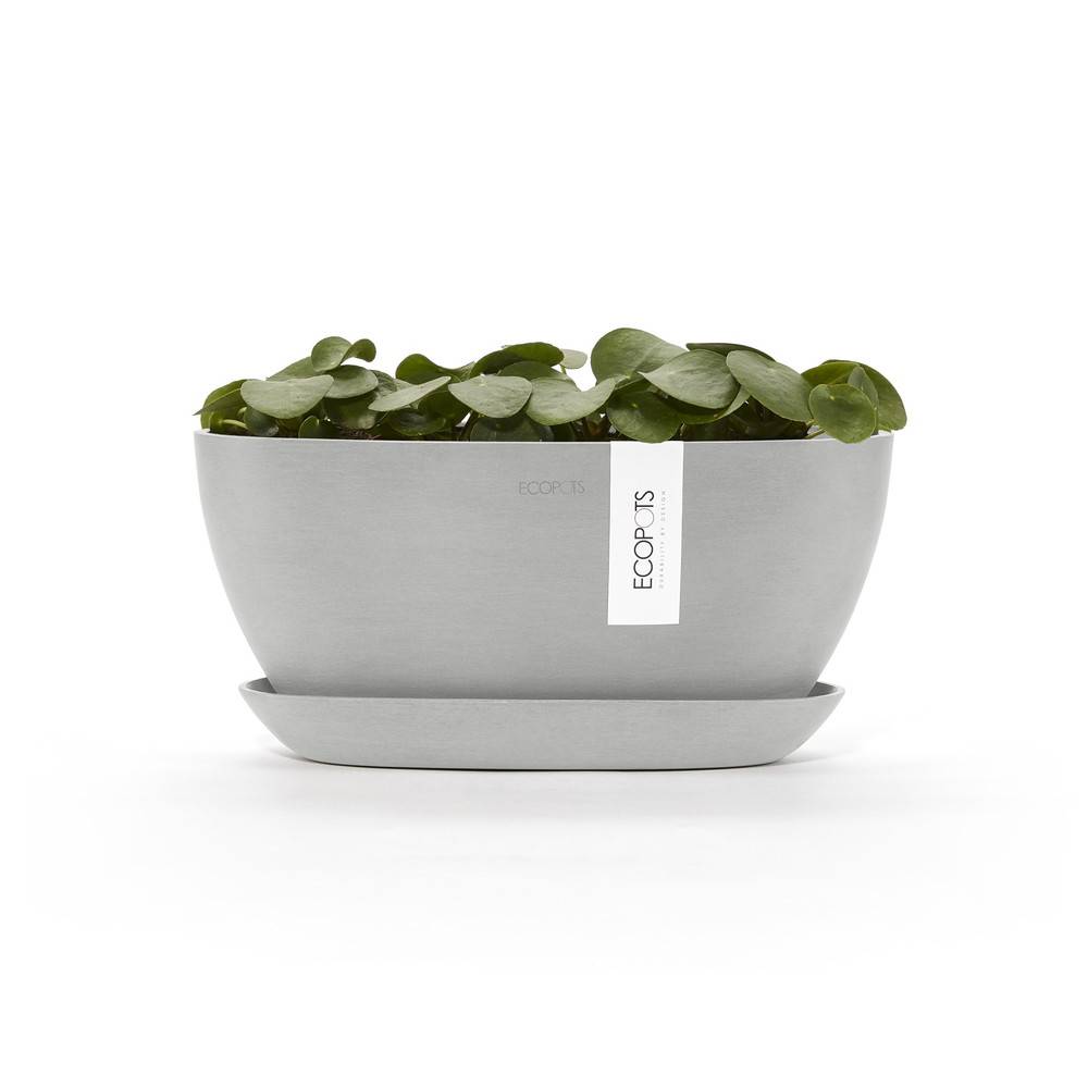 Ecopots - Pot Ovale Sofia 30 + Soucoupe - 30 x 13 x H. 13,9 cm - 2,7 L ECOPOTS - Imagen 3