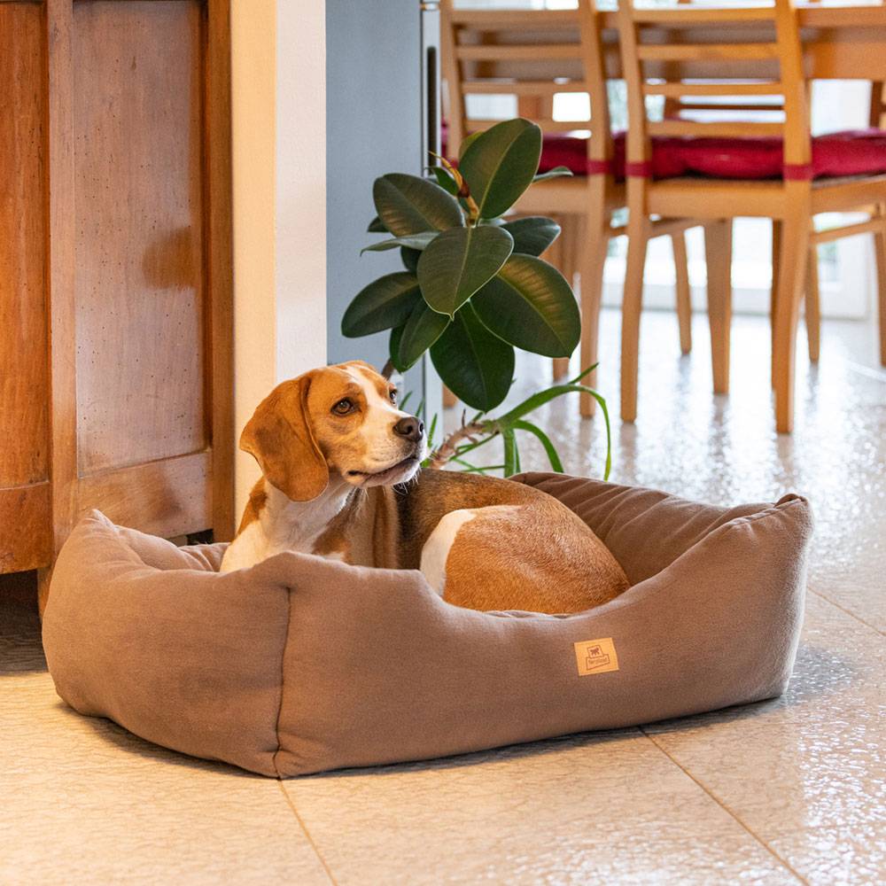 Ferplast - Canapé Lit pour Chiens et Chats COCCOLO MICROFLEECE 80 Soft Micropolaire Lavable Taupe - Imagen 3