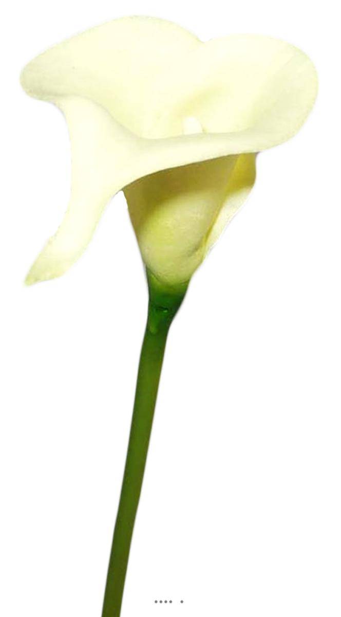 Artificielles - Arum calla fleur artificielle Champagne H 42 cm Superbe - couleur: Crème