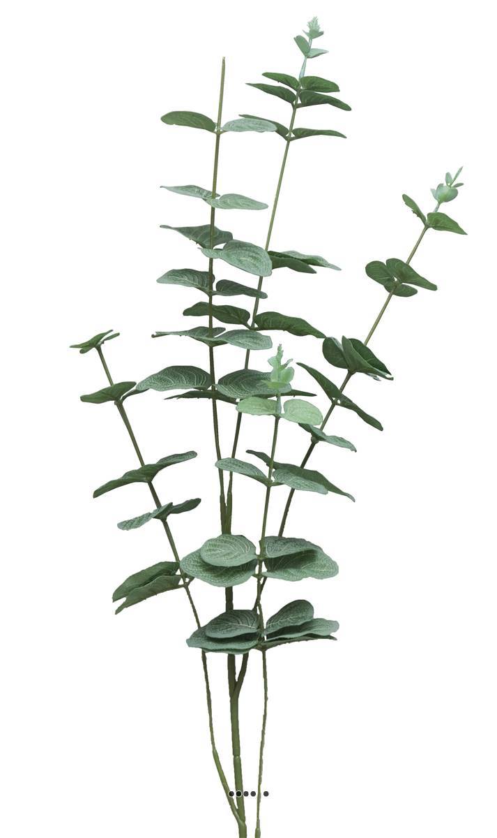 Artificielles - Eucalyptus artificiel en branche, 5 ramures, H 90 cm - BEST - Imagen 2