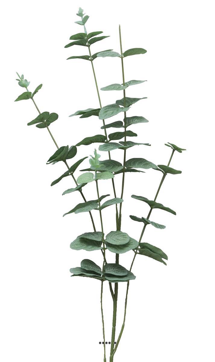 Artificielles - Eucalyptus artificiel en branche, 5 ramures, H 90 cm - BEST - Imagen 3