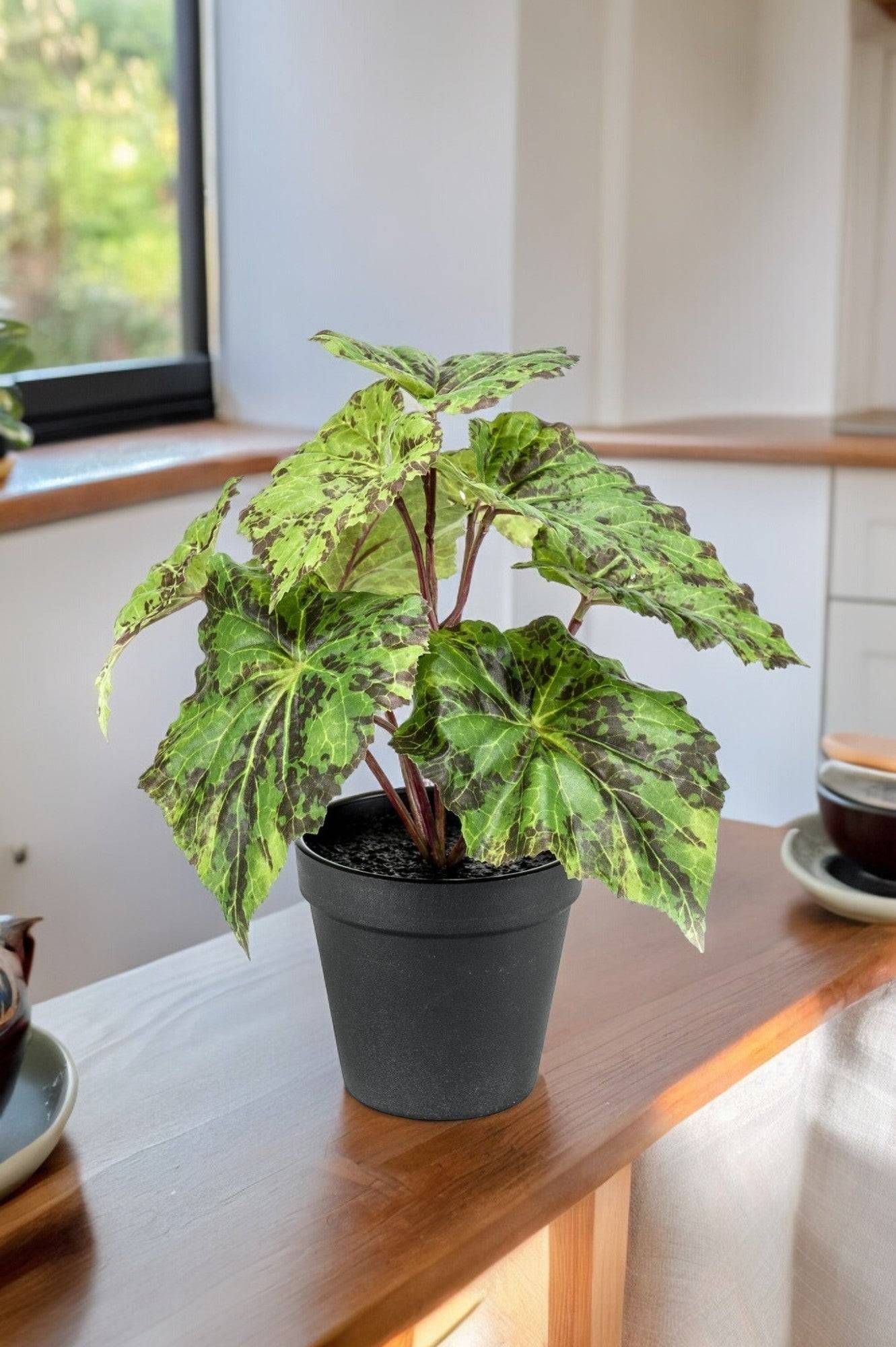 La Green Touch - Begonia Rex plante artificielle - h25cm, Ø11cm- La Green Touch - Imagen 1